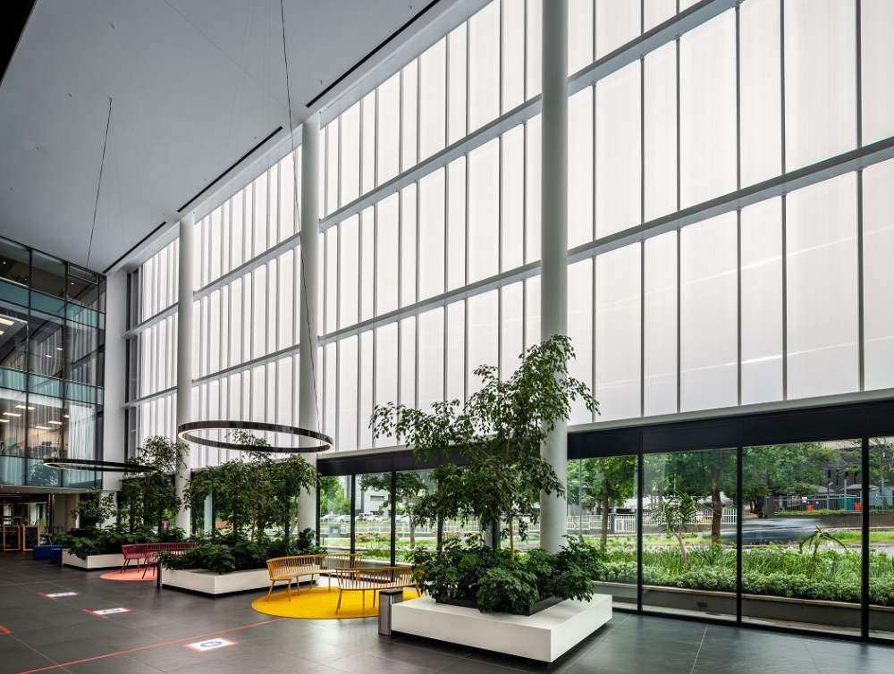 cupidatat nonproident, sunt in culpa qui officia deserunt